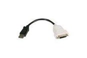 Beelscherm- en tv-kabel - Lenovo DisplayPort Aan Single-Link DVI - 45J7915