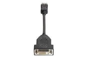 Beelscherm- en tv-kabel - HP DisplayPort naar DVI-D-kabel - FH973AA