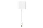 Beelscherm- en tv-kabel - Apple Mini DisplayPort to DVI-adapter - MB570