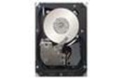 Harde schijf - IBM 1TB 2.5IN SFF HS 7.2K 6GBPS - 1TB - Harde schijf - 81Y9730 - SATA-600 - 2.5" - 81Y9730