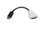 Beelscherm- en tv-kabel - StarTech.com DisplayPort Aan DVI Video Converter - DP2DVI