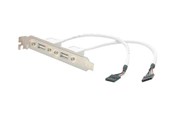 Voedingskabel (intern) - StarTech.com 2 Port USB A Female Low Pro - USBPLATELP