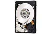Harde schijf - IBM 300GB Hot-Swap - 300GB - Harde schijf - 49Y6173 - Serial Attached SCSI - 2.5" - 49Y6173