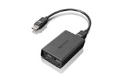 Beelscherm- en tv-kabel - Lenovo DisplayPort adapter - 0B47092