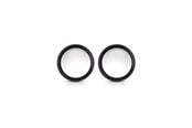 Camera- en lensaccessoires - GoPro Beschermende lens - AGCLK-301
