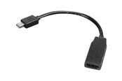 Beelscherm- en tv-kabel - Lenovo AV / multimedia paneel Mini DisplayPort Aan HDMI - 0B47089