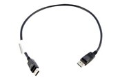 Beelscherm- en tv-kabel - Lenovo DisplayPort-kabel M/M - 0.5m - 0B47396