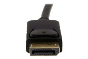 Beelscherm- en tv-kabel - StarTech.com DisplayPort Aan VGA AV / multimedia paneel Cable DP Aan VGA - DP2VGAMM10B