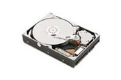 Harde schijf - IBM - 1TB - Harde schijf - 81Y9731 - SATA-600 - 2.5" - 81Y9731