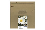 Inkt, toner en verbruiksartikelen - Epson T1806 Eenvoudige Mail Verpakking - C13T18064511