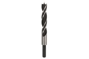Boren en bits - Bosch SPIRALBOR 15X100X160MM TRÆBOR - 2608596312
