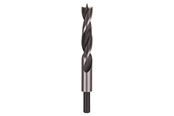 Boren en bits - Bosch TRÆSPIRALBOR 16X100X160MM - 2609255213