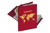 Camera hoes - HERMA RFID Protector for Passport - 5549 N