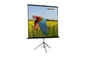Projectordoek - Celexon Economy tripod screen - 1090016