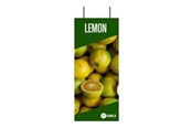 Conferentie & Presentatie - OKI FASTDISPLAY - 09006050
