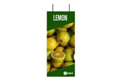 Conferentie & Presentatie - OKI FASTDISPLAY - 09006050
