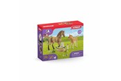 Schleich - Schleich Horse Club Sarahs verzorging van babydieren - 42432