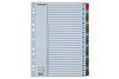 Insteekhoezen, Offertemappen & Tabbladen - Esselte Indices Mylar A4 1-31 Multicolo. - 100164