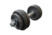 Sport & Fitness - TITAN LIFE LIFE 15 kg Adjustable Iron Dumbbell *DEMO* - 400-800082