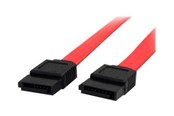 SATA - ATA-kabel - StarTech.com 12in SATA Serial ATA Cable - SATA cable - 30.5 cm - SATA12