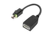 Beelscherm- en tv-kabel - Lenovo DisplayPort-adapter - 4X90Q93975