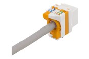 Accessoires - Deltaco Cat6A Keystone jack toolless Plastic wh - MD-123