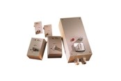 Ventilatie - THERMEX Regulator tr 15 white with circuit breaker - 270.66.3515.2