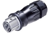 Kabels en draden - Wieland Rst25i3 plug female 3-pol 250v/32a 0.75-6mm2 ø=13-18mm grey - 96.031.4554.3