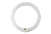 Armaturen & Lampen - Philips Fluorescent light bulb Master TL-E Cirkular 40W/840 G10q - 928027484070