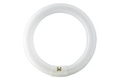 Armaturen & Lampen - Philips Fluorescent light bulb Meester tl-e cirkel super 80 22w/840 G10q - 928026284070