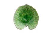 Tafeldekking - Costa Nova Riviera Plate 18 cm - 22704