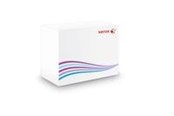 Inkt, toner en verbruiksartikelen - Xerox - silver - original - toner cartridge - 006R01797