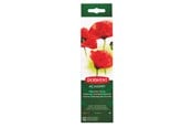 Hobby artikelen - Derwent Aquarelverfset (12 kleuren) - 2301955