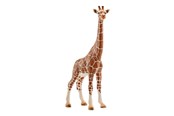 Schleich - Schleich Wild leven - 4005086147508
