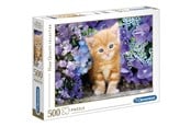 Bordspellen, Kaartspellen & Dobbelspellen - Clementoni Hoge kwaliteit collectie - 8005125304158