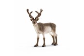 Schleich - Schleich Reindeer - 14837