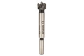 Boren en bits - Bosch FORSTNERBOR HM 15MM - 2608597601