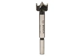 Boren en bits - Bosch FORSTNERBOR HM 20MM - 2608597604