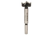 Boren en bits - Bosch FORSTNERBOR HM 25MM - 2608597607
