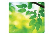 Muismat & accessoires - Fellowes Recycled Mouse Pad Leaves - 5903801