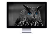 Systeemaccessoires  - Natec OWL - NFP-1478