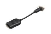 Beelscherm- en tv-kabel - HP I DisplayPort to DVI-D Adapter - 484156-001