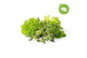 Smart Home - Click & Grow Slimme Tuin Navulling 9-pack Grill & Steak Mix - PPMSSX9