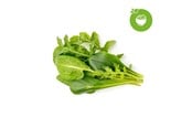 Smart Home - Click & Grow Smart Garden Refill 9-pack Green Sallad Mix - PPMSAX9