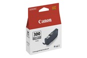 Inkt, toner en verbruiksartikelen - Canon PFI-300 / 4200C001 Grijs - 4200C001