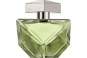 Parfum en geuren - Britney Spears Believe EDP - 100ml - 719346117722