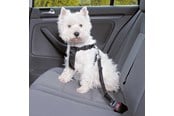 Honden - Trixie Car Harness Safety Belt S 60-60cm/25 mm Stomach Circum 60-60cm - TX-1290