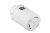 Radiatoren en ventielen - Danfoss eco Radiator thermostaat with Bluetooth ra&k - 014G1001