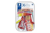 Schrijf- en tekengerei - Staedtler Gekleurde potlood zeshoekig 36 stuks - 175 M36