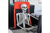 Gadget - Mikamax Skelet – Realistisch – 170 cm – Halloween Decoratie - 04184
